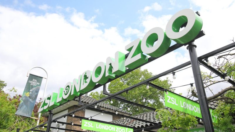 ZSL London Zoo, London, Storbritannia.