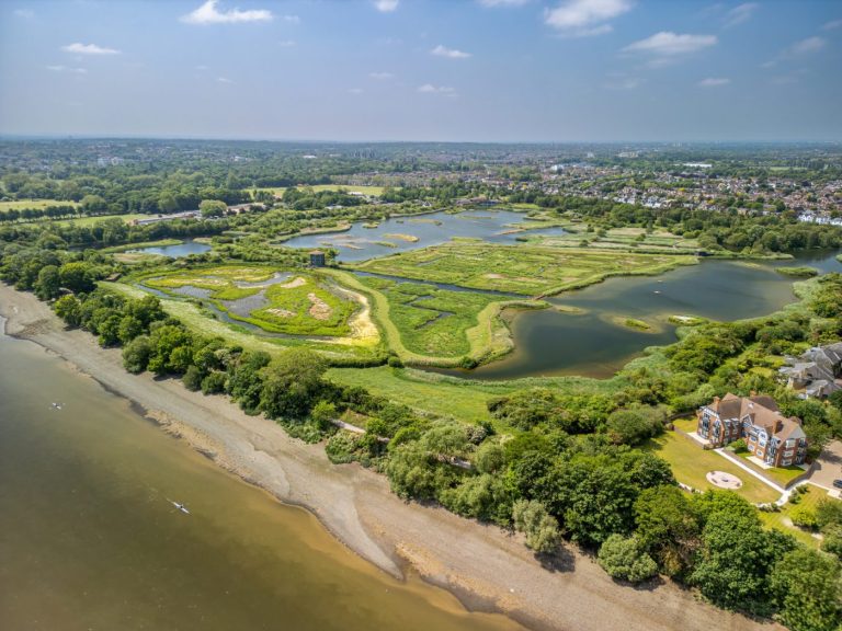 WWT London Wetland Centre, et våtmarksreservat i Barnes-området i bydelen Richmond upon Thames, London.