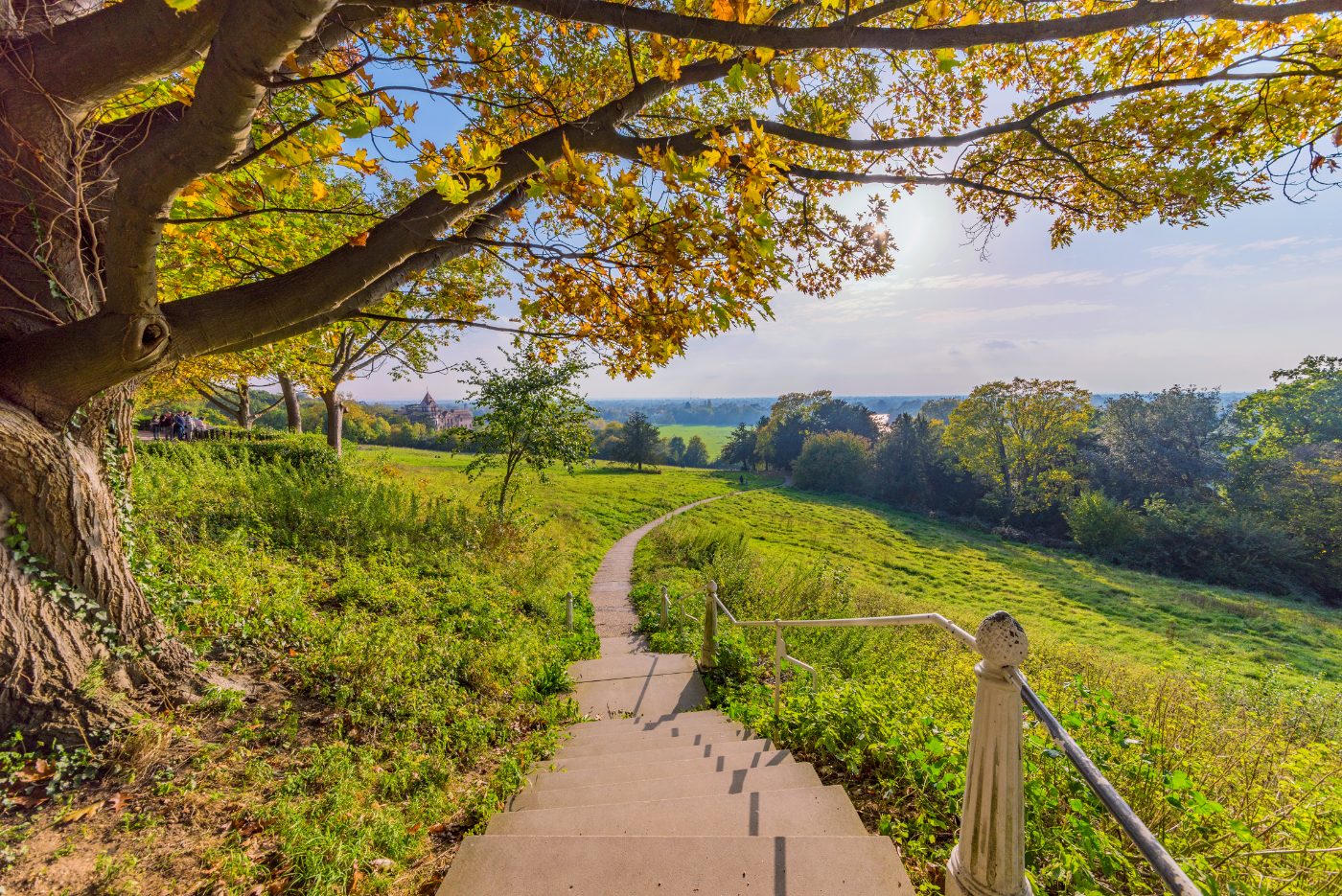 Naturskjønn utsikt over en gangsti i Richmond Park i London.