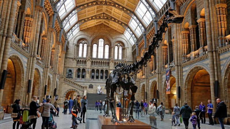 Natural History Museum i London
